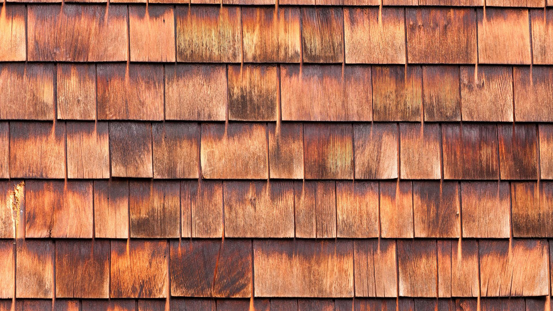 roof cleaning