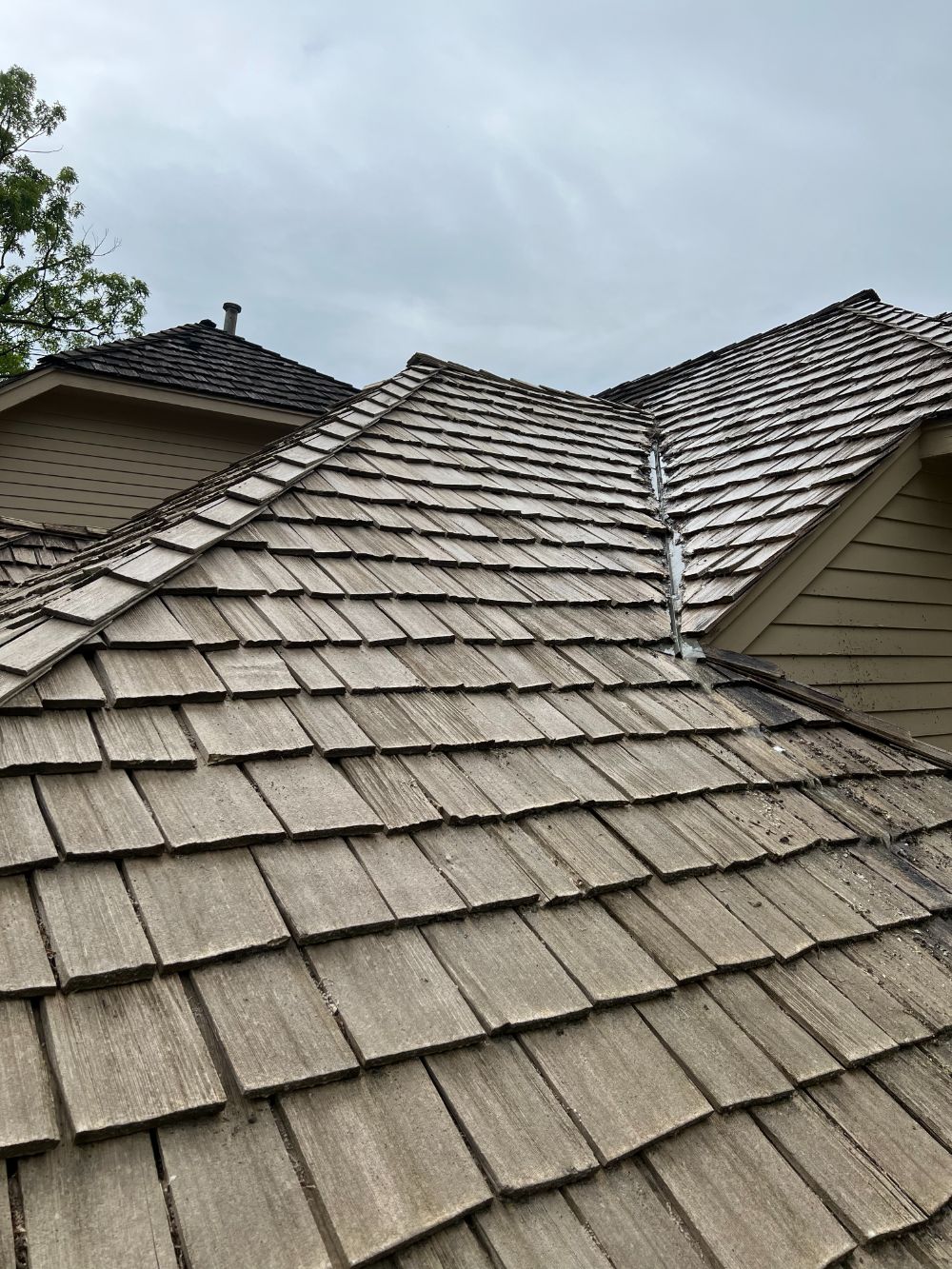Edina cedar roof